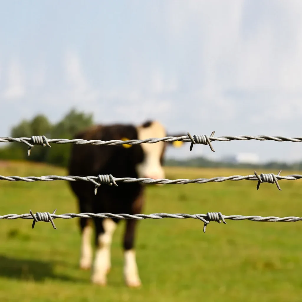 Sunvik Steels BARBED WIRE